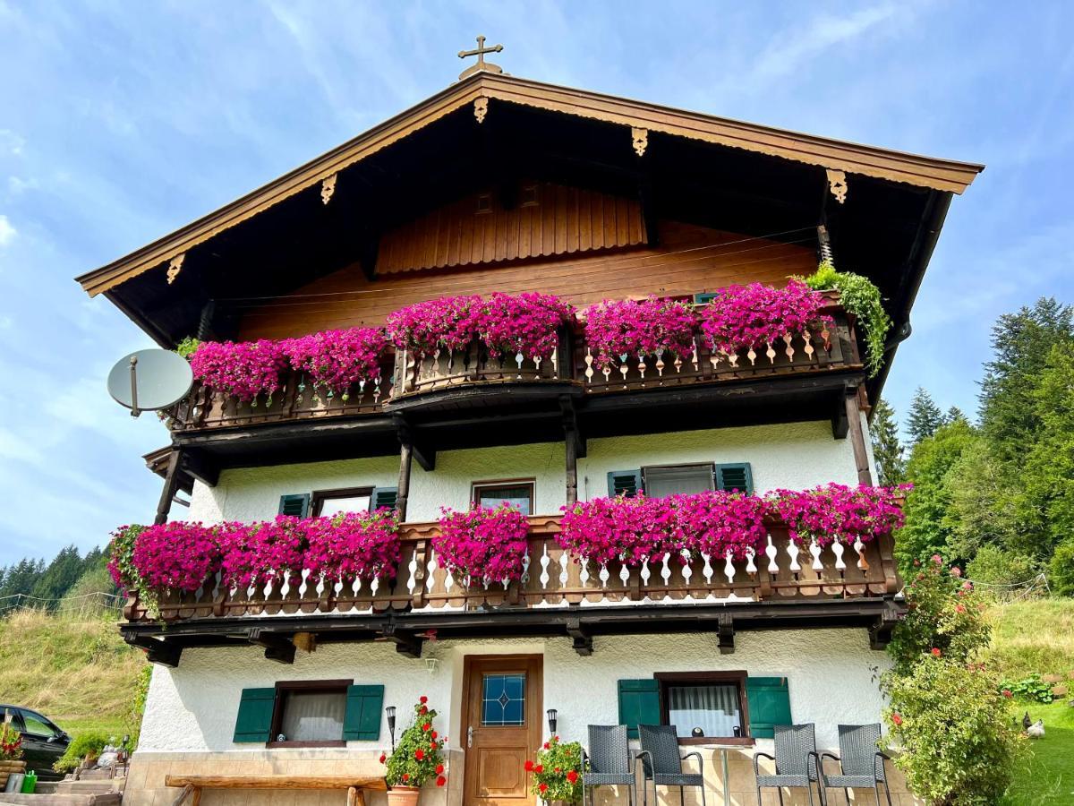 Appartement Sunnseit - Kitzbueheler Alpen Sankt Johann in Tirol Ngoại thất bức ảnh
